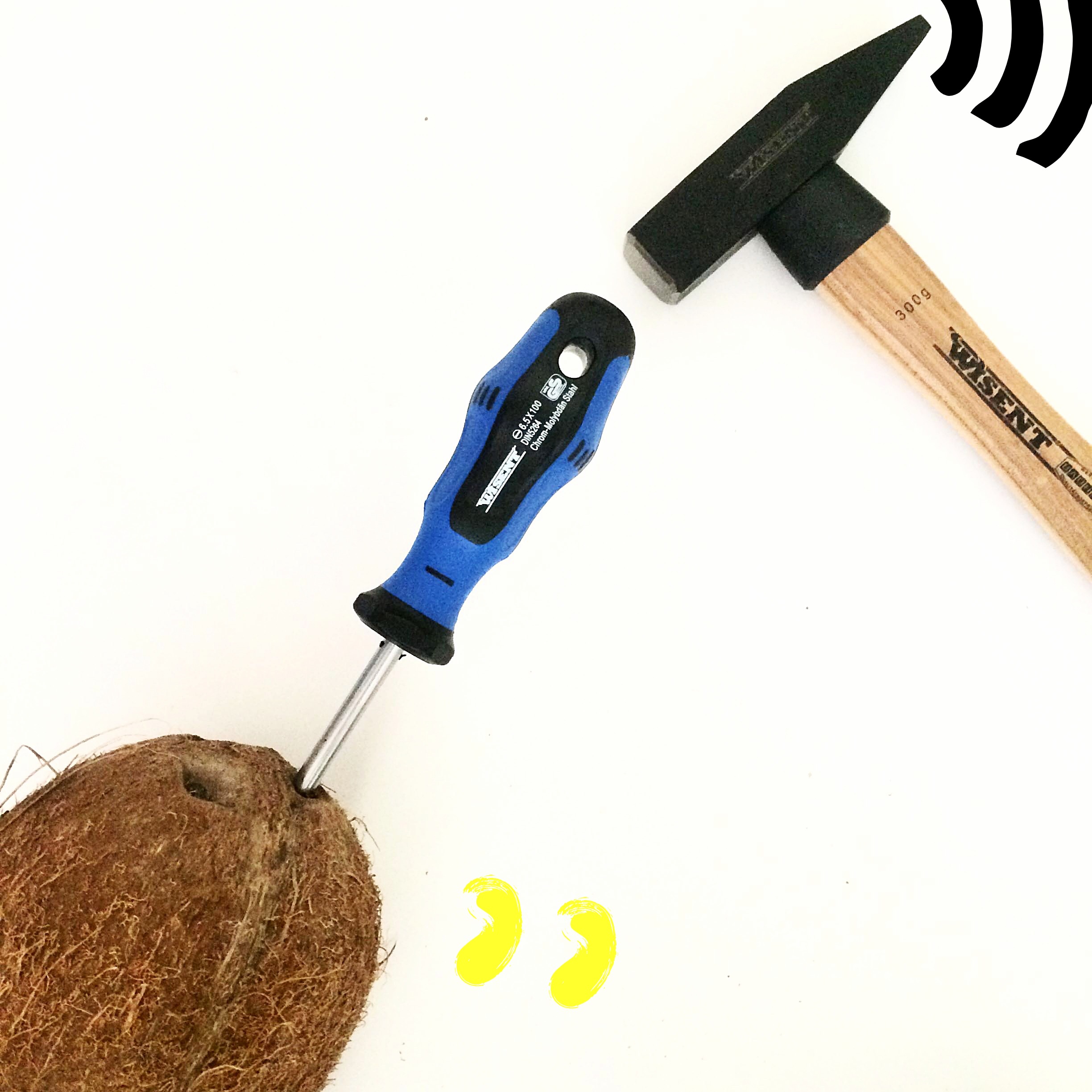 coconut tutorial